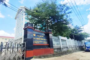 Cục Thuế Gia Lai miễn tiền thuê đất sai quy định cho 2 doanh nghiệp