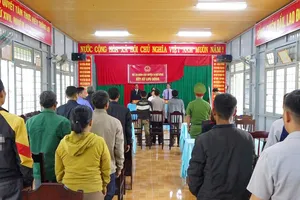 Xử lưu động vụ phá rừng làm rẫy ở Kon Tum