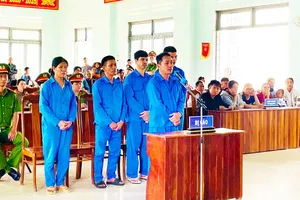 5 bị cáo vụ 'phá rừng nhưng báo cáo chỉ dọn thực bì' ở Kon Tum lãnh án