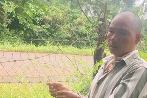 Dính bẫy điện chống trộm sầu riêng, 1 thiếu niên bị điện giật tử vong