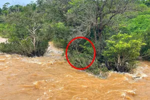 Giải cứu thanh niên kẹt giữa nước lũ nhiều giờ khi đi bắt cá