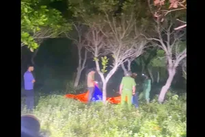 Nghi án con sát hại mẹ, giấu xác trong vườn điều