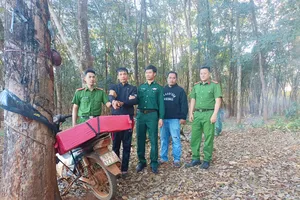 Cận Tết, liên tục bắt giữ nhiều vụ vận chuyển pháo lậu