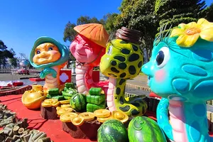 Độc lạ linh vật rắn ở Gia Lai 'ôm túi vàng, túi bạc'