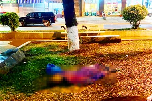 Đi tập thể dục, phát hiện 1 thi thể trong công viên