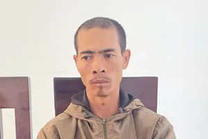 Khởi tố bị can anh rể hủy hoại vườn cà phê em vợ