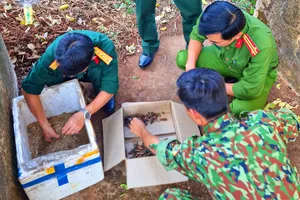 Đã xác định được thiệt hại vụ đốt phế liệu gây nổ lớn ở Gia Lai