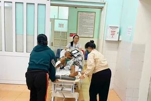 Gia Lai: Đi chăn trâu, cụ ông bị trâu húc phải nhập viện