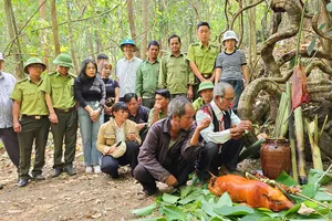 Độc đáo lễ cúng Thần rừng của người Jrai ở Tây Nguyên