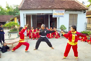 Đệ trình UNESCO công nhận di sản văn hóa phi vật thể võ cổ truyền Bình Định 