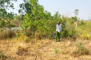 Kon Tum đề nghị điều tra hàng loạt vụ cắt dây điện chiếu sáng 