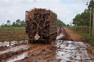 Xe chở gỗ cày nát đường, thôn yêu cầu tài xế hỗ trợ tiền để sửa chữa