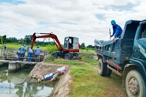 Chủ tịch xã gửi thư xin lỗi dân vì tình trạng vứt xác heo bừa bãi gây ô nhiễm