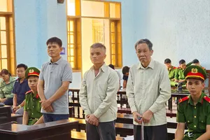 Vụ 3 người công ty trồng rừng bị tội hủy hoại rừng: Tòa tuyên y án sơ thẩm