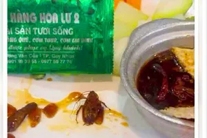 Phạt nhà hàng 12 triệu đồng vì 'có con gián trong thức ăn'