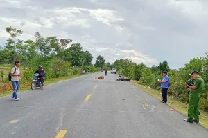 Nam thanh niên tử vong sau khi xe tông bò thả rông trên quốc lộ 25