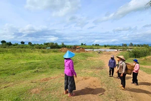 Một công ty chưa đủ điều kiện nên bị tạm ngừng khai thác cát 