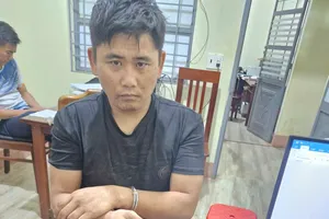 Bắt giữ tài xế giấu 7 túi ma túy và 1 khẩu súng trong ô tô