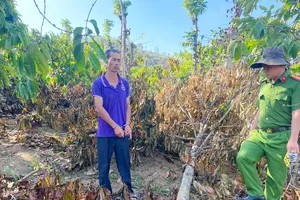 Anh rể hủy hoại vườn cà phê của em vợ lãnh án 