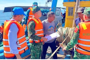 Gia Lai: Yêu cầu xử lý 551 tàu cá vi phạm nghiêm trọng IUU