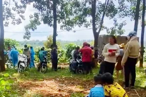 Nam thanh niên xin đi nhờ xe rồi sát hại nạn nhân, cướp tài sản