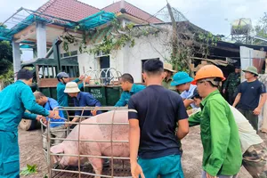 Cán bộ giúp dân di dời nhà khỏi vùng sạt lở đường vào thủy điện Ia Ly 