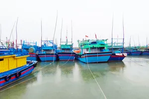 Gia Lai: Hỗ trợ tiền cho hơn 400 tàu cá không đủ điều kiện ra khơi