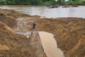 Giao công an điều tra vụ đào bới bờ sông lấy cây gỗ lạ ở Gia Lai