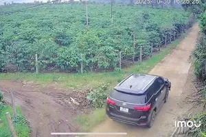 Tài xế gây tai nạn chết người rồi bỏ trốn khỏi hiện trường