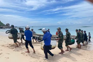 Bão số 13 rất mạnh, Gia Lai yêu cầu khẩn cấp sơ tán người dân trước 10 giờ sáng 6-11