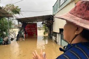 Mưa kéo dài, phía đông Gia Lai ngập trên diện rộng