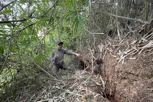 Gia Lai: Xuất hiện vết nứt lớn trên đồi khiến người dân bất an