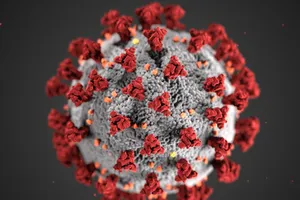 Ảnh minh họa cấu trúc của virus SARS-CoV-2. Ảnh: NPR