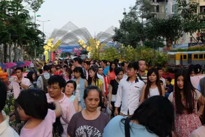 Đường hoa tết sẽ được tổ chức ở phố đi bộ Nguyễn Huệ