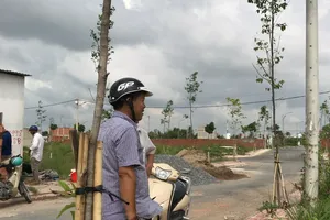 'Siết'đầu nậu núp bóng chủ đất tách thửa trốn thuế 