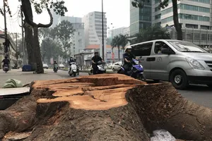 Một sự đánh đổi nghiệt ngã cho phát triển...