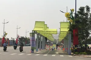 Lần đầu tiên Bình Chánh tổ chức đường hoa