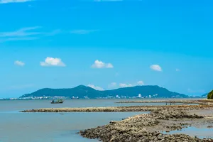 Công ty Nhật đoạt giải nhất ý tưởng quy hoạch Cần Giờ