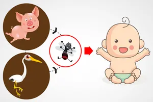 4 bước phòng dịch viêm não Nhật Bản mùa hè