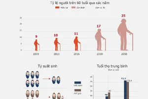 Dân số Việt Nam chưa giàu đã già 