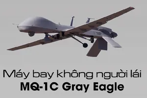 Mỹ bất ngờ điều hàng loạt 'Đại bàng xám' tại Đông Nam Á