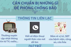 Những việc làm cần thiết để ứng phó với bão?