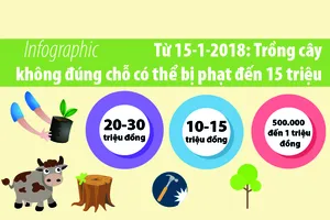 Từ 15-1: Trồng cây sai chỗ có thể bị phạt đến 15 triệu