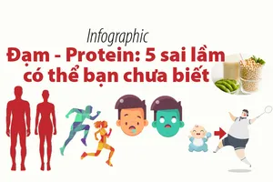 Đạm, Protein: 5 sai lầm có thể bạn chưa biết