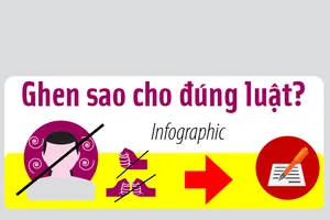 Ghen sao cho đúng luật? 