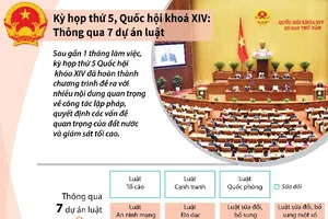 Kỳ họp thứ 5, Quốc hội khóa XIV: Thông qua 7 dự án luật