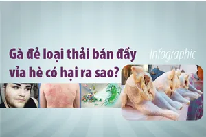 Thịt gà đẻ loại thải bán đầy vỉa hè có hại ra sao?