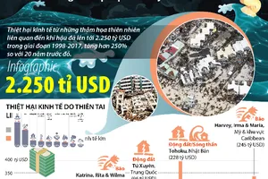 20 năm, kinh tế thế giới thiệt hại 2.250 tỉ USD do thiên tai