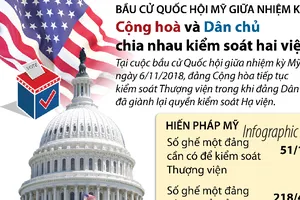  Cán cân quyền lực 2 đảng thay đổi thế nào sau bầu cử Mỹ?