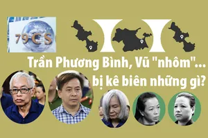 Trần Phương Bình, Vũ 'nhôm'... bị kê biên những gì?
